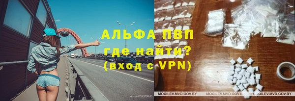 стаф Корсаков