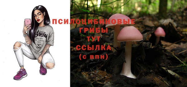 ПСИЛОЦИБИНОВЫЕ ГРИБЫ Коряжма