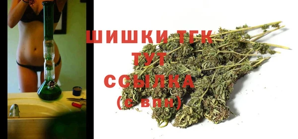 ПСИЛОЦИБИНОВЫЕ ГРИБЫ Коряжма