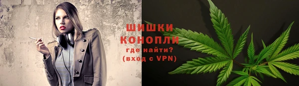 стаф Корсаков