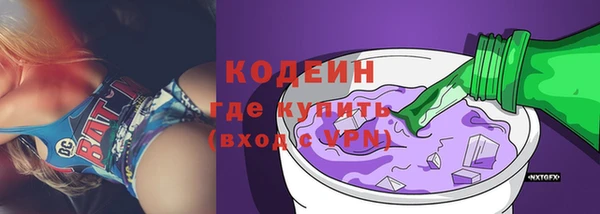 стаф Корсаков