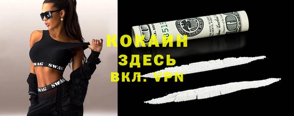 стаф Корсаков