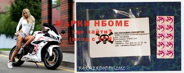 ПСИЛОЦИБИНОВЫЕ ГРИБЫ Коряжма