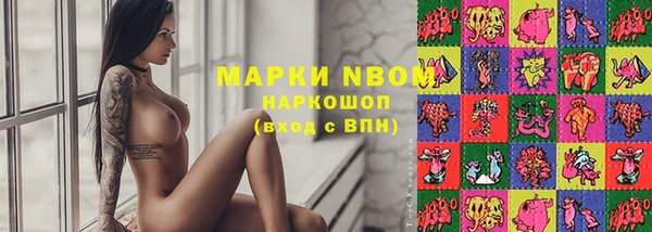 стаф Корсаков