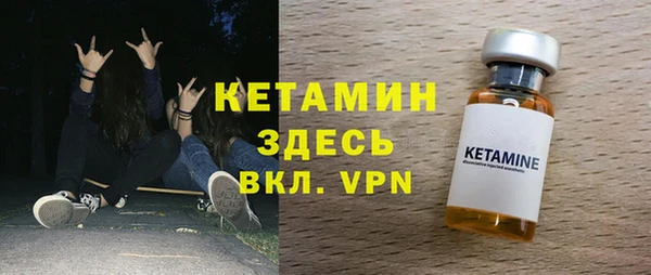 стаф Корсаков