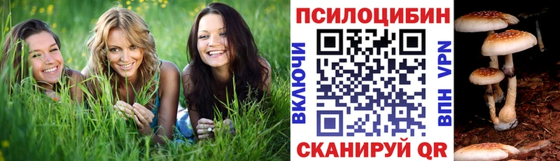 Галлюциногенные грибы ЛСД  нарко площадка формула  omg зеркало  Староминская  купить наркотик 